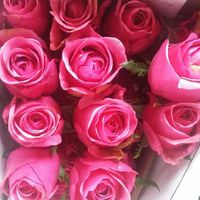 Flores do casamento - 1