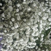 Flores do casamento - 4