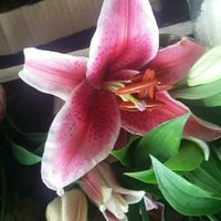 Flores do casamento - 5