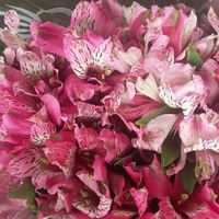 Flores do casamento - 6