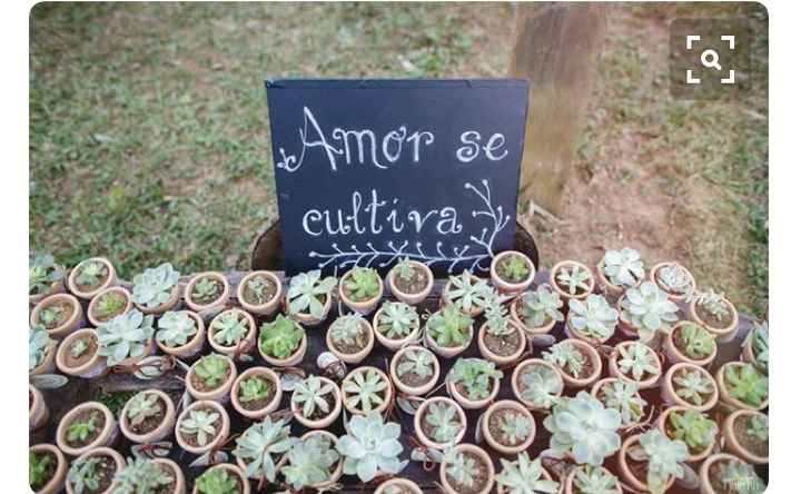 Suculentas para lembrancinhas - 1