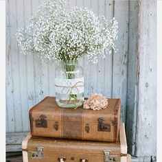 Gipsofilas