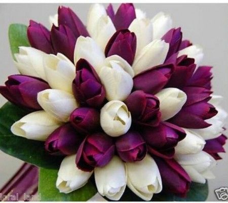 Lindoo de mais!