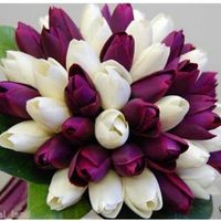 Lindoo de mais!