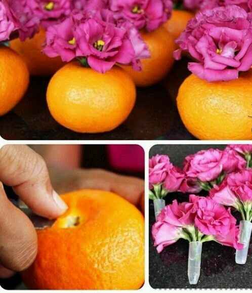 Laranja com flores