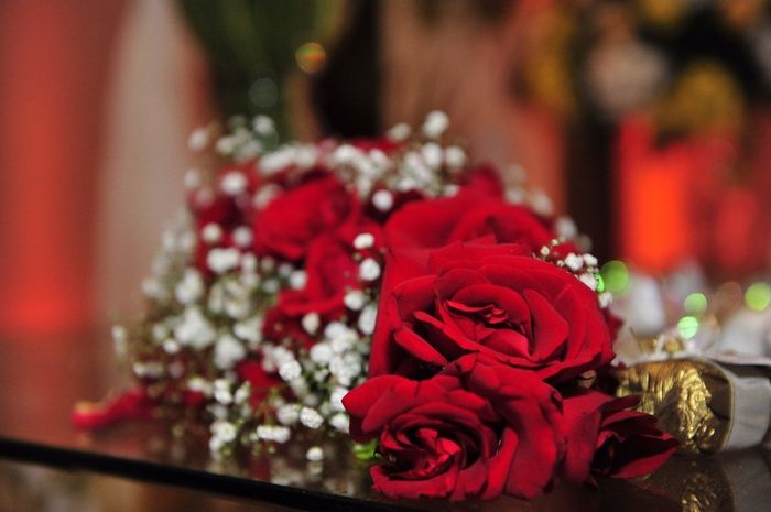minhas rosas vermelhas
