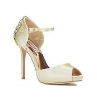 Se meu casamento fosse hoje-diandra - 6