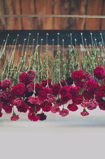 Rosas suspensas no gazebo onde será realizada a cerimônia