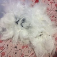 Caixinhas/acessórios dos noivos - 5