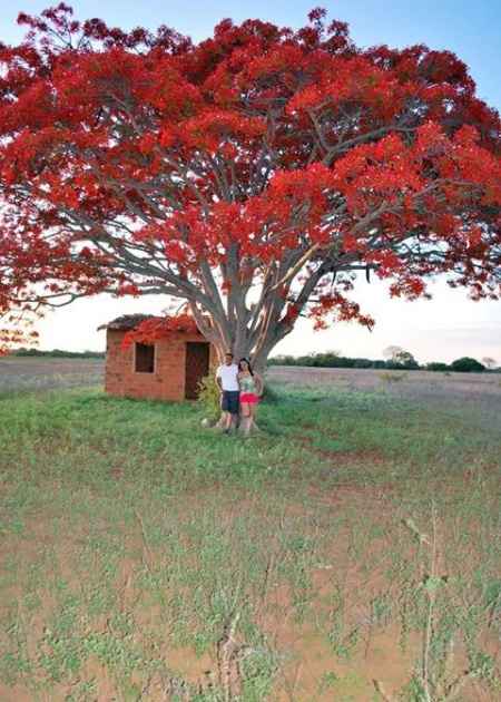 Nosso ensaio! !! - 1