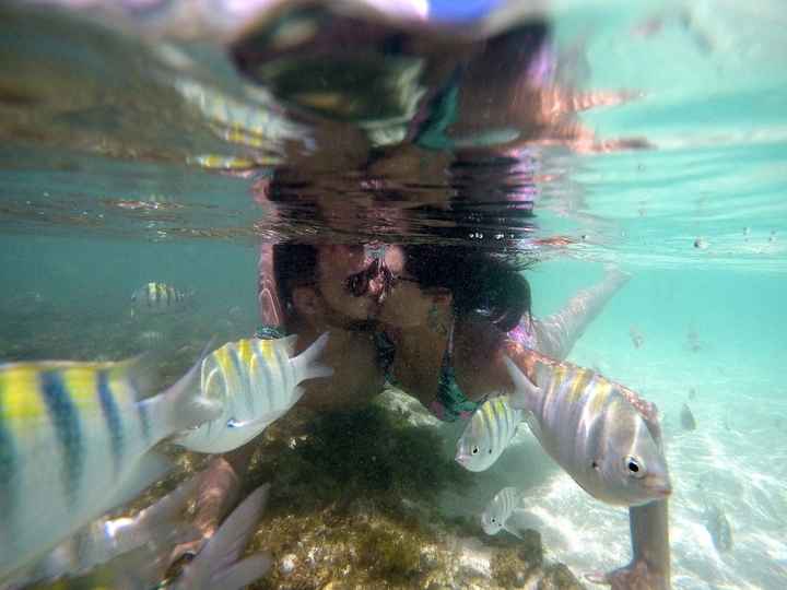 Peixinhos