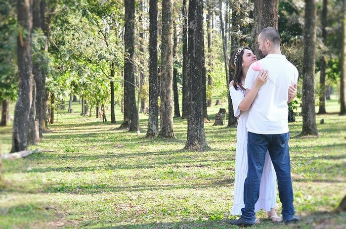 Bosque das Grevilhas