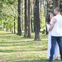 Bosque das Grevilhas