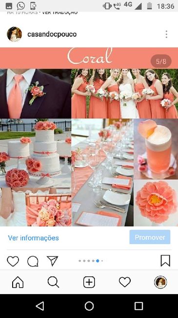 Como vocês escolheram a paleta de cores? - 5