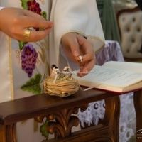 Ninho porta-alianças