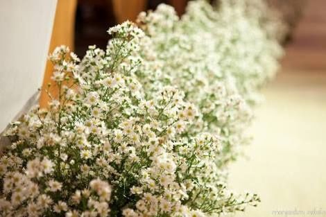Momento pitaco - flores - 2