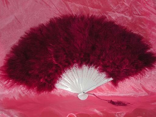 Planos para as bodas de plumas - 4