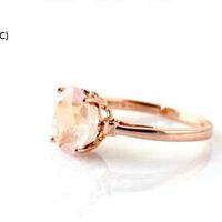  Se eu fosse rica, meu casamento seria assim - Midiane - 6