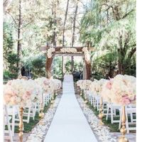  Se eu fosse rica, meu casamento seria assim - Midiane - 8