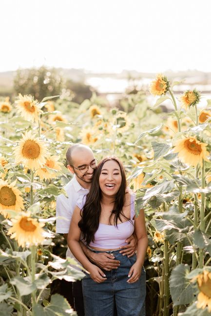 Meu Pré Wedding em Holambra 8