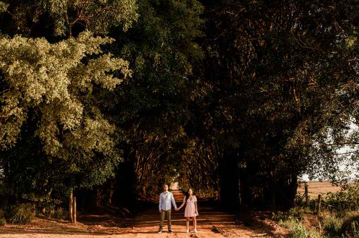 Meu Pré Wedding em Holambra - 9