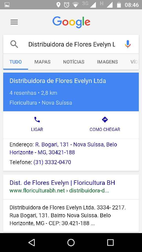Flores - 1