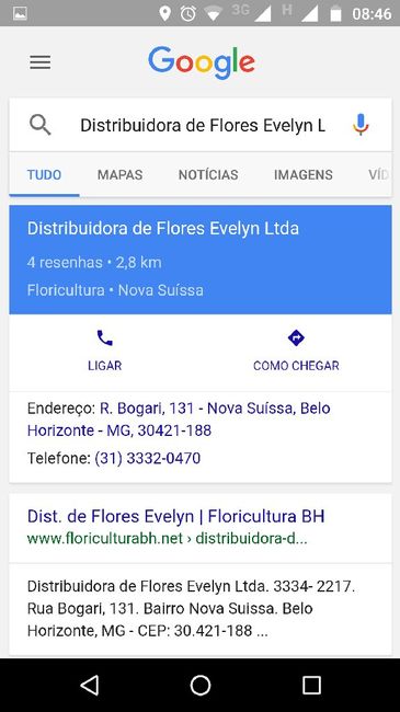 Flores - 1