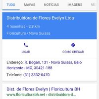Flores - 1