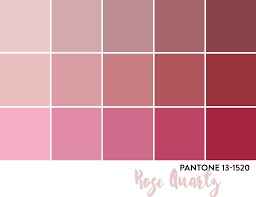 paleta de cores rosa
