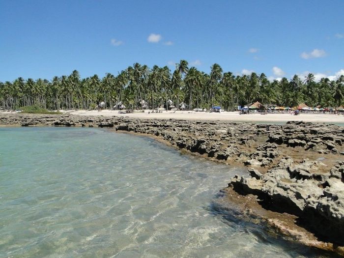 Dica de Lua de Mel - Porto de Galinhas PE 6