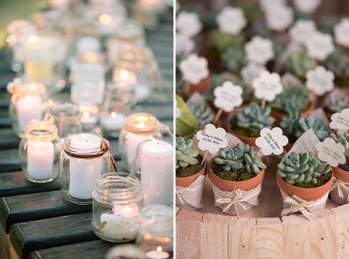 Suculentas e velas 