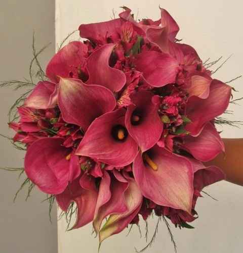 Callas são lindas!