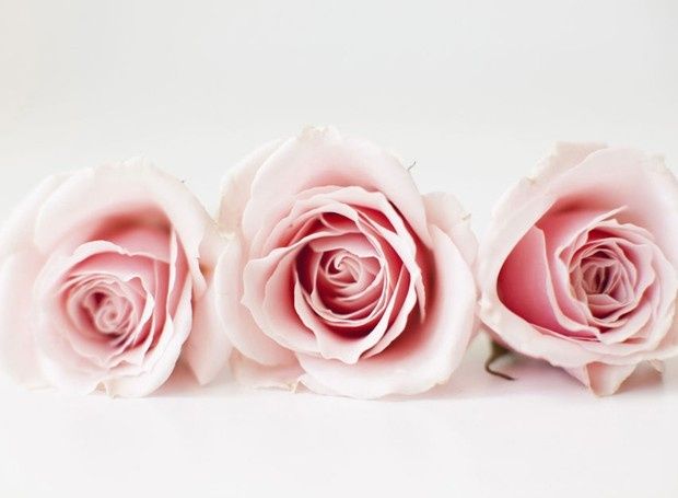 Rosas