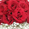 Delma