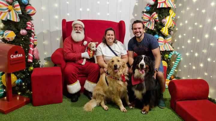 Dica de lugares Pré Wedding Pet Friendly - 1