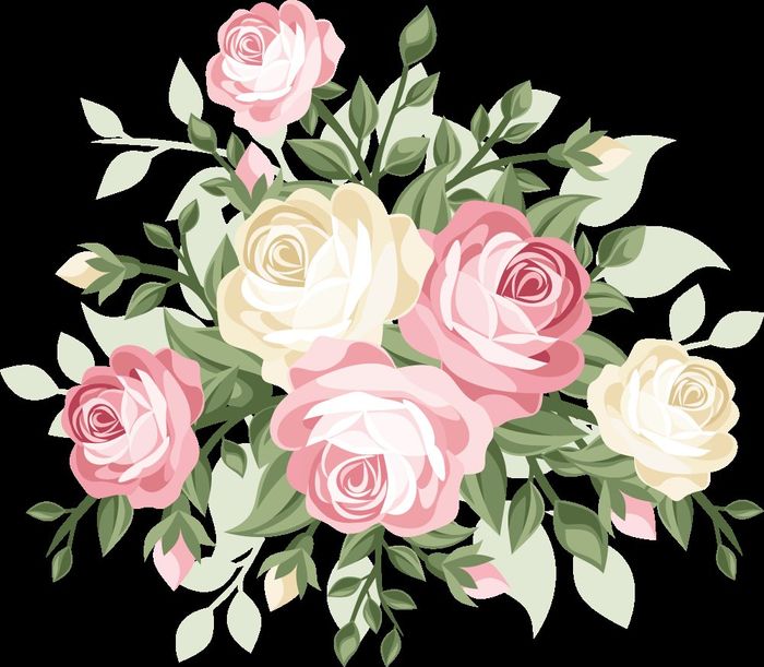 Rosas lindas