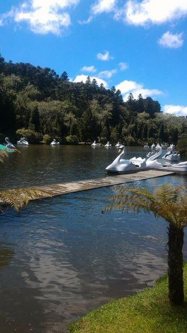 Pedalinhos no Lago Negro