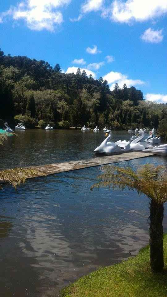 Pedalinhos no Lago Negro