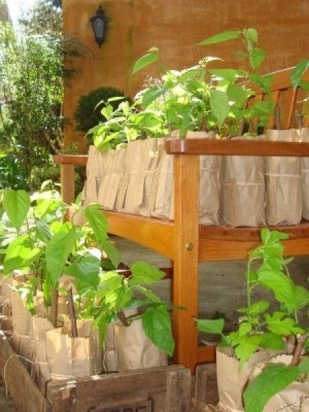 Lembrancinhas Sustentável