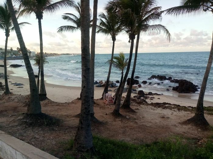 Viagem - Natal-rio Grande Do Norte - 4