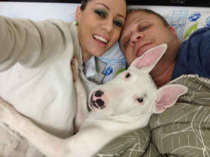 Eu, Dollar e meu amor 