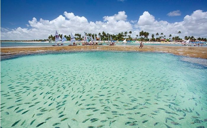 Porto de galinhas-Pe