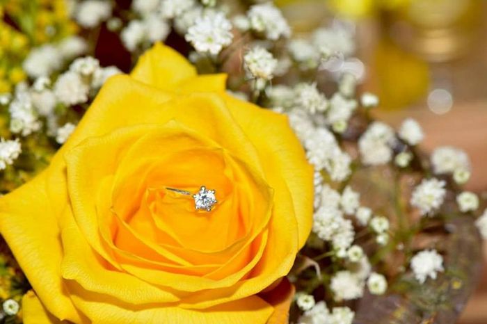 Mostre seu anel! 💍 6