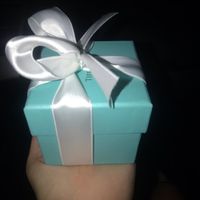 Escolha das alianças -tiffany & Co - 2