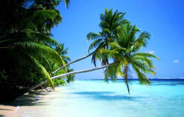 Caribe