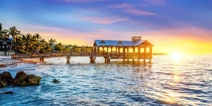 Caribe