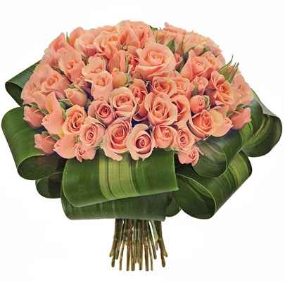 Rosas claras, romanticas!