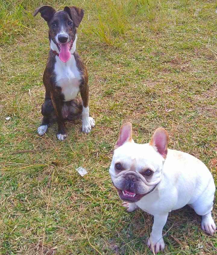 Sofia e Júlio *-*