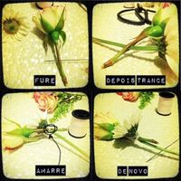 Faça você mesma sua coroa de flores