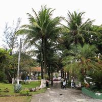  Lugar do casamento Sitio Campestre em SG-RJ